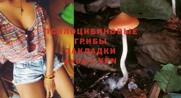 гидропоника Абаза