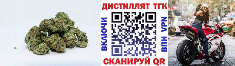 мориарти наркотические препараты  Котлас  ТГК THC oil 