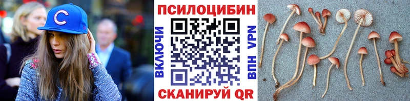 где найти   кракен сайт  Псилоцибиновые грибы прущие грибы  Котлас 